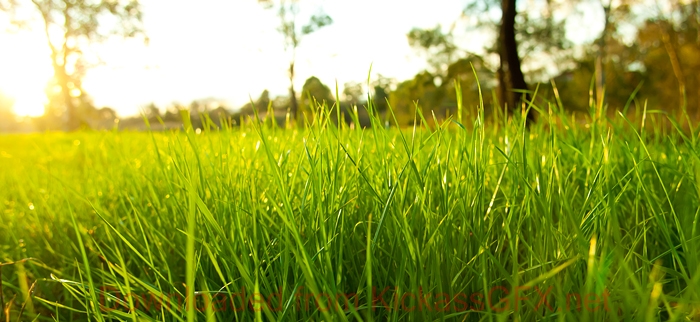 手机号轰炸在线