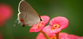 在线电话轰炸软件