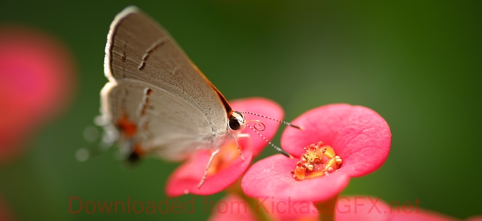 免费电话短信轰炸机